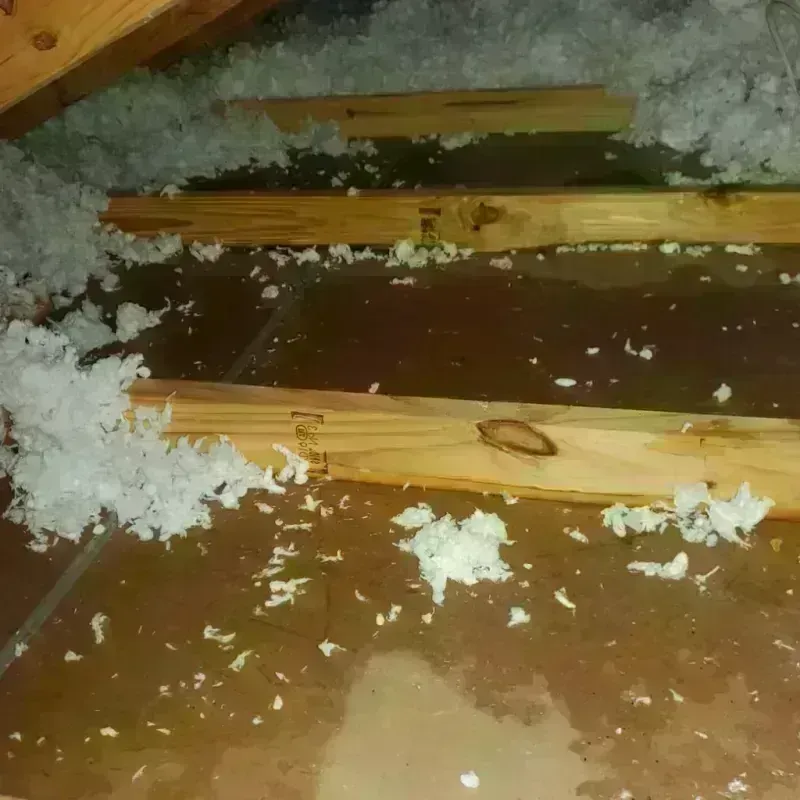 Attic Water Damage in Medina County, TX