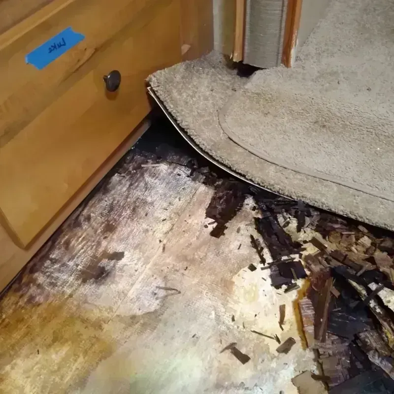 Wood Floor Water Damage in Medina County, TX